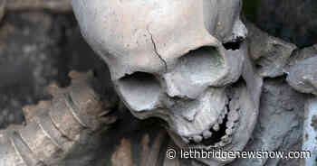 The Mount Vesuvius Victim With Glass Brains - Lethbridge News Now