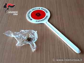 Aidone, segnalato alla Prefettura di Enna un giovane per uso personale di marijuana - VIDEO - TeleNicosia