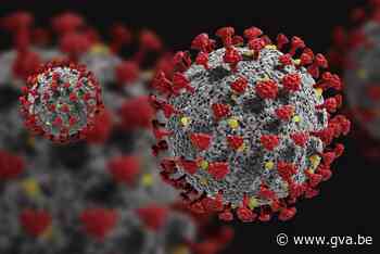 Nieuwe coronavariant met “grootste mutatie tot nu toe” opgedoken, en toch maakt expert zich (nog) geen zorgen - Gazet van Antwerpen