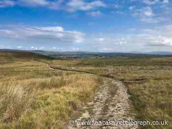 Bowland: Walkers wanted for historic forest exploration