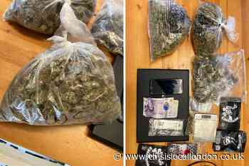 Carshalton and Clockhouse police seize large cannabis stash