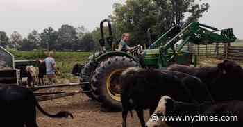 After 15 Years in Opera, Martha Prewitt Runs a Farm in Kentucky