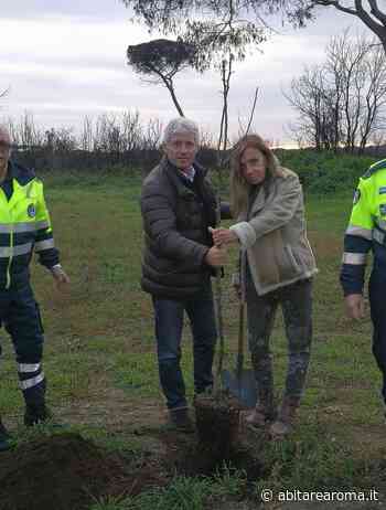 Vasti incendi fra la Capitale ed Ardea, paura disagi e forte inquinamento - AbitareaRoma