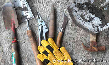 The Citizen Gardener: ‘Life is so much harder when you don’t have the right tools’