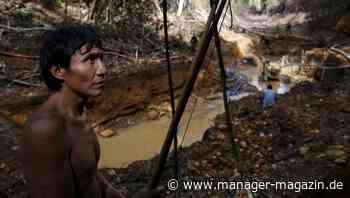 Fast 30 Prozent der Goldexporte Brasiliens offenbar illegal