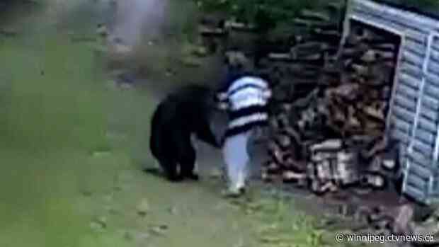 Manitoba woman escapes injury after fighting off mother bear in front yard