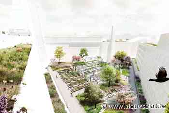 Ontwerpteam met PAKT wint wedstrijd voor vergroening van Den Bell