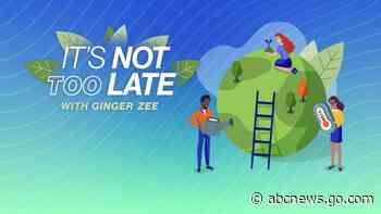 Birds of prey face global decline from habitat loss, poisons