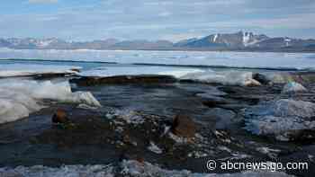 Expedition discovers island believed world's northernmost