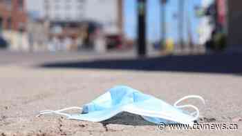 Canadian man pleads guilty in global PPE scheme