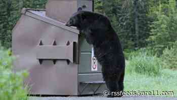 'Swamped' with food donations, Greenwood Fire crews deal with bears