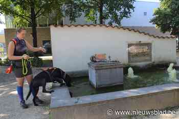 Fontein op dorpsplein Halle foetsie: schepen legt uit waarom