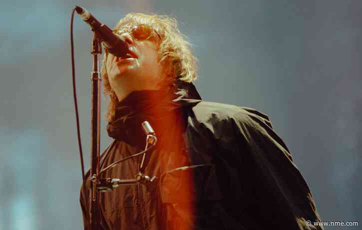 Fan claims Liam Gallagher took photos with Reading Festival crowd for his next album