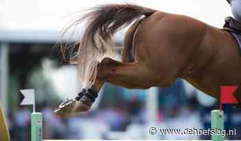 Finale GMB Jongepaardencompetitie naar Vragender - dehoefslag.nl