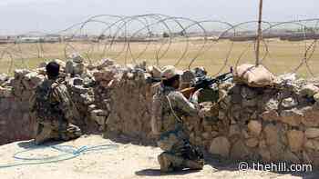Afghan interpreter who helped extract Biden, other senators in 2008 asks president to save him