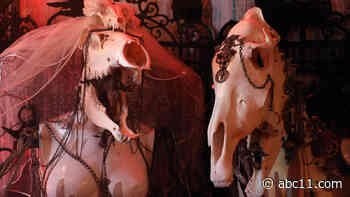 Philadelphia artist transforms skulls into works of art