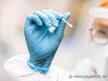 Inzidenz sinkt erstmals seit Anfang Juli - TAGEBLATT: Nachrichten aus Stade, Buxtehude und der Region - Tageblatt-online