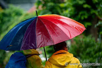 Wetterdienst zieht Bilanz: Viel zu viel Regen im Sommer - Landkreis Stade - Tageblatt-online