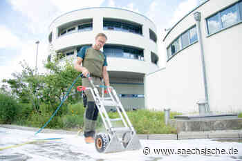 Dresden: Dresdens umweltfreundlicher Unkrautbekämpfer - Sächsische.de