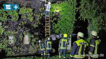 Brand in Siegen: Efeu an Haus fängt in der Nacht Feuer - Westfalenpost