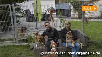 Diese Tierschützerinnen geben Straßenhunden ein neues Zuhause - Augsburger Allgemeine
