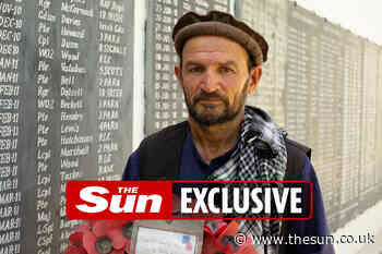 Hero gardener vows to protect Britain’s war graves from being desecrated by the Taliban... - The Sun