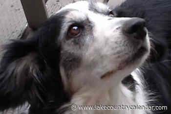 A Gardener's Diary: An unforgettable summer – Lake Country Calendar - Lake Country Calendar