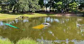 After Car Flies Off Road Into Pond, Trooper Jumps In to Save Man and Dog from Drowning