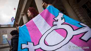 GOP-led states sue Biden administration over transgender rights