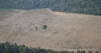 Brazil to hire more environmental agents in bid to fight forest fires - Reuters