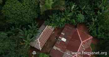 Nigeria's Ekuri community fight government, developers to protect forest - Fairplanet