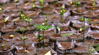 Mumbai: Rotary Club to create ‘Miyawaki-style urban forest’ at CPRA Greens - The Indian Express