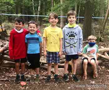 Kids learn in the woods at Forest School - Brockville Recorder and Times