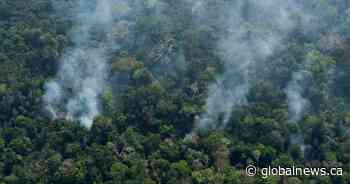 Brazil forest fire season begins with concerns of mass destruction - National | Globalnews.ca - Global News