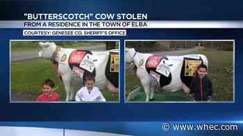 Genesee County Deputies searching for stolen decorative cow