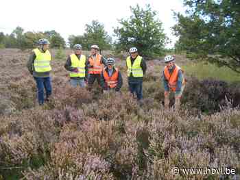 Okra Alken fietst door de Mechelse heide (Alken) - Het Belang van Limburg Mobile - Het Belang van Limburg