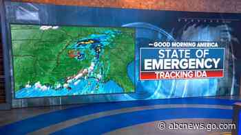 Report: Man attacked by alligator in Ida's floodwaters