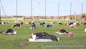 Frontignan : la ville obtient le label ville active & sportive - Hérault-Tribune