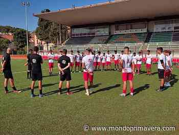 Ancona Matelica, parla mister Recchi: "Gruppo in costruzione ma sensazioni positive" - Mondoprimavera