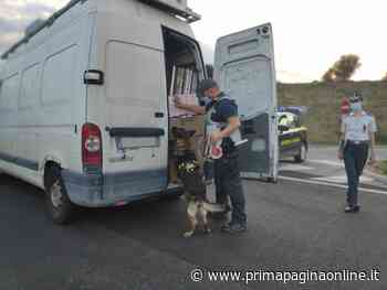 Fermo: proseguono i controlli della Guardia di Finanza • Prima Pagina Online - Prima Pagina Online