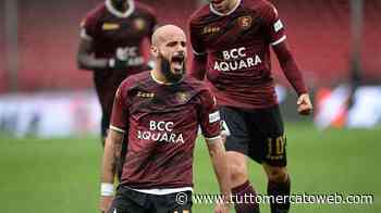 Salernitana, tutto fermo in entrata. La Ternana su Aya - TUTTO mercato WEB