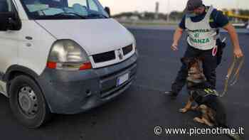 Guardia Finanza Fermo, continuano i controlli contro commercio abusivo e contrasto al traffico di sostanze stupefacenti - picenotime