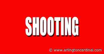 Shooting on Amersale Dr Near Aurora Rd on Naperville's Northwest Side - arlingtoncardinal.com