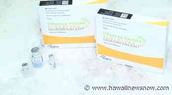 COVID has pushed Hawaii's medical workers to the brink. Flu season now brings new worries - Hawaii News Now