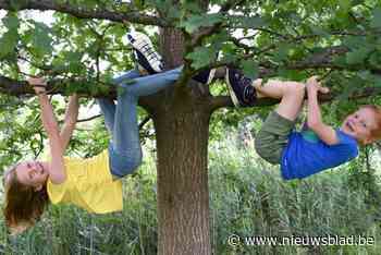 Dertien gemeentes bestellen 1001 gratis bomen