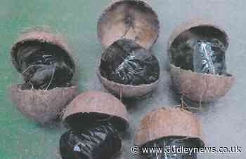 Drug smuggler who used coconuts to hide herbal cannabis from Ghana is jailed - Dudley News