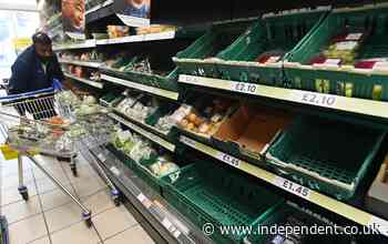 Food price rises ‘likely’ amid Brexit red tape and driver shortages, warn economists - The Independent