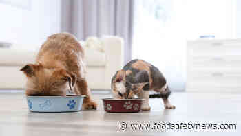 Study finds STEC in raw meat pet food - Food Safety News