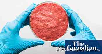 Man v food: is lab-grown meat really going to solve our nasty agriculture problem? – podcast - The Guardian