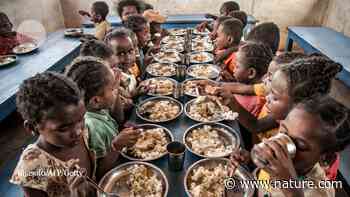 Food systems: seven priorities to end hunger and protect the planet - Nature.com